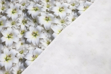 DUCK Интерьерная ткань 180см Лилии