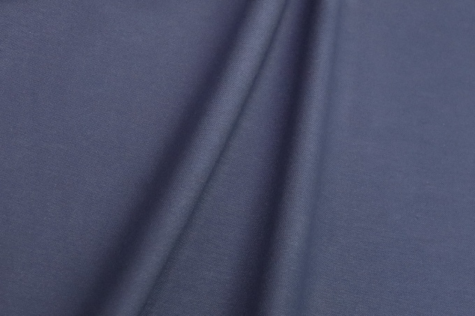 DUCK Интерьерная ткань 180 см синий