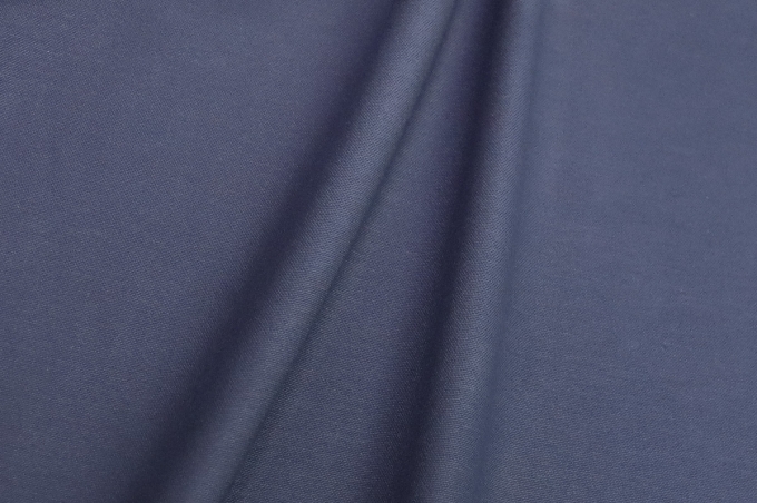 DUCK Интерьерная ткань с влаго-грязеотталкивающей пропиткой 180 см синий