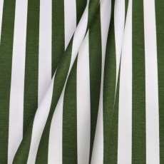 DUCK Interior Fabric, 180cm, Dark Green Stripe